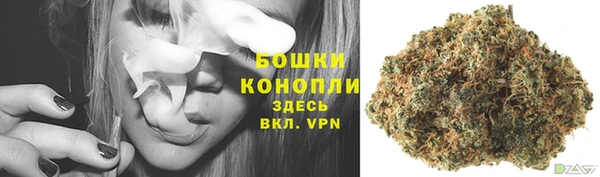 гашик Ельня