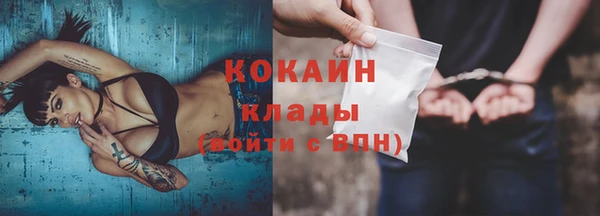 гашик Ельня