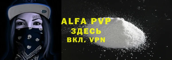 гашик Ельня