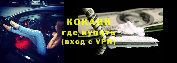 гашик Ельня