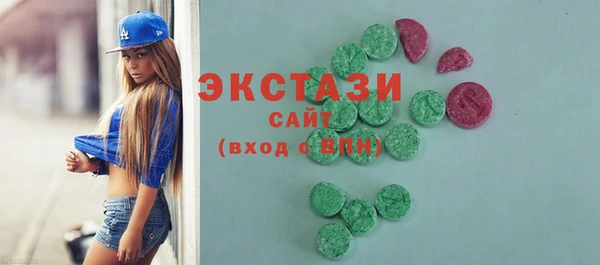 гашик Ельня