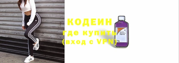 гашик Ельня