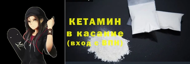 гашик Ельня