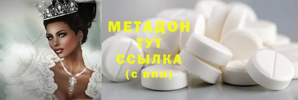 гашик Ельня
