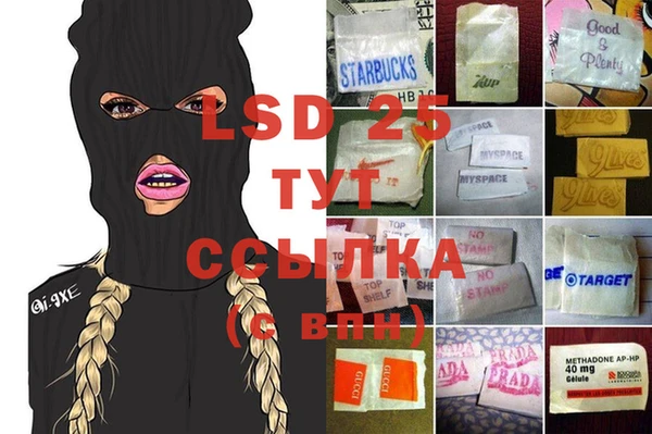 гашик Ельня