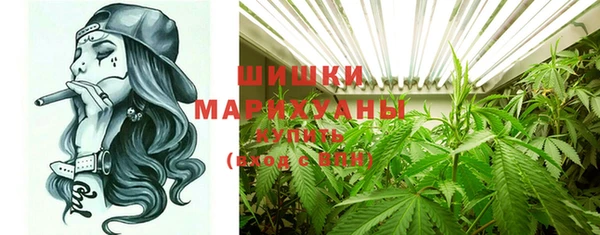 гашик Ельня