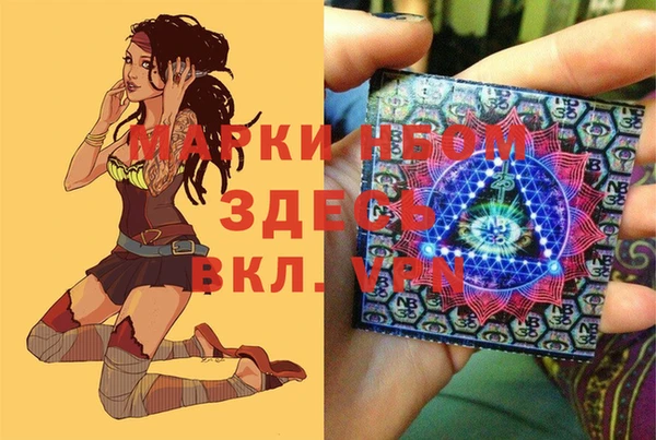 гашик Ельня