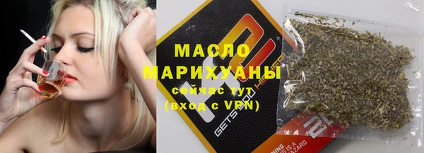 гашик Ельня