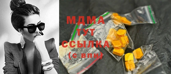 гашик Ельня