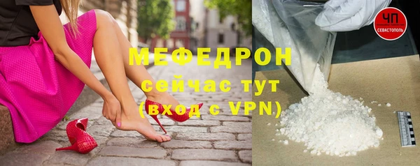 гашик Ельня