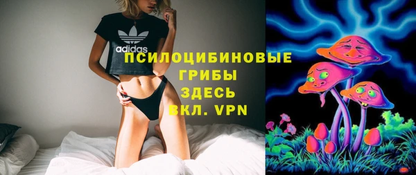 гашик Ельня